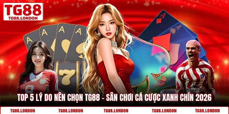 Top 5 Lý Do Nên Chọn TG88 – Sân Chơi Cá Cược Xanh Chín 2026